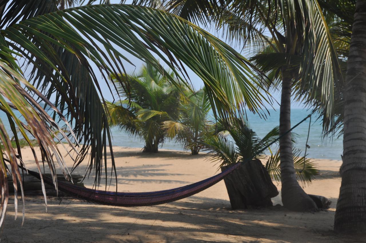 Monkey River Town Sabal Beach酒店 外观 照片