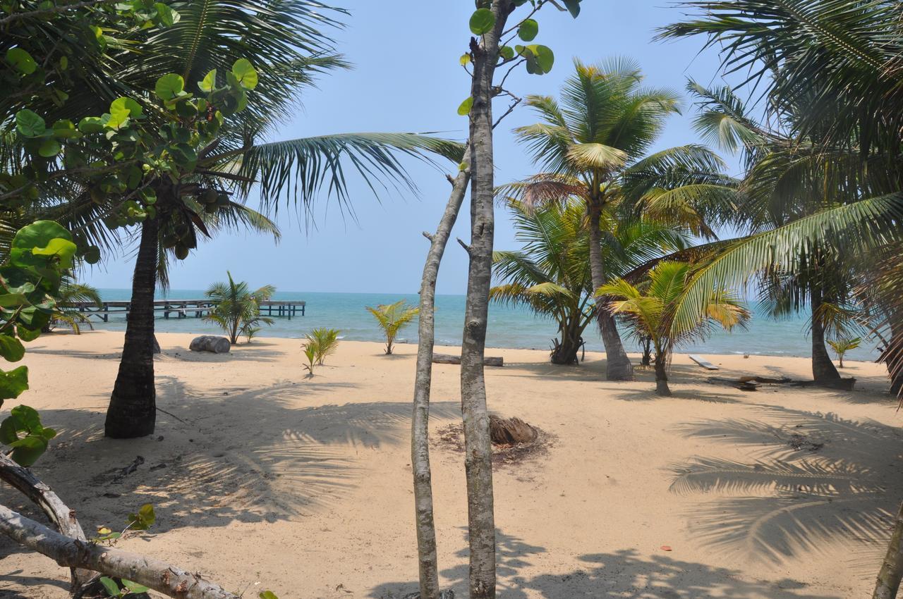 Monkey River Town Sabal Beach酒店 外观 照片