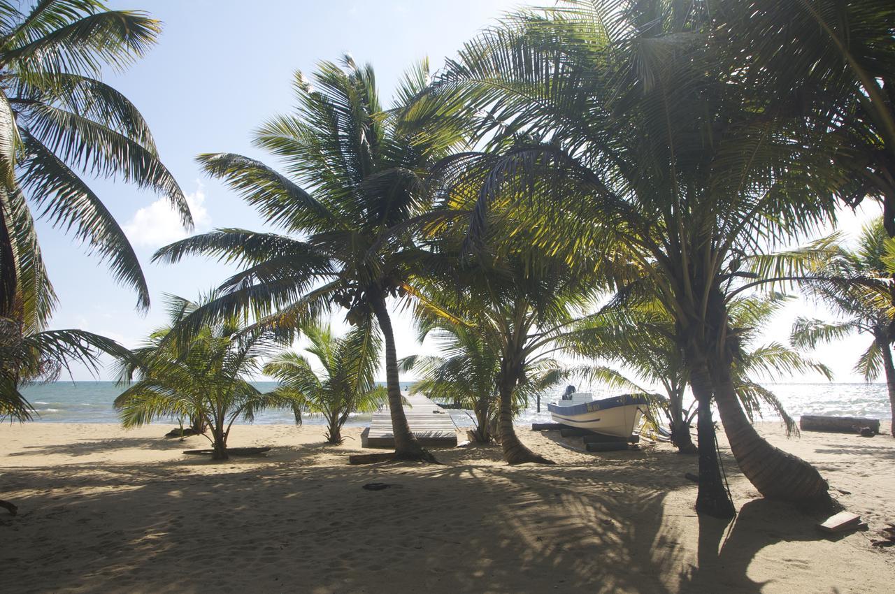 Monkey River Town Sabal Beach酒店 外观 照片